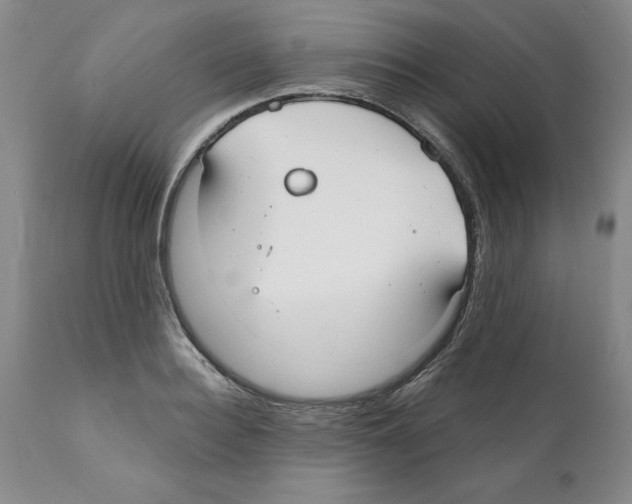 X0000112060940200909151022