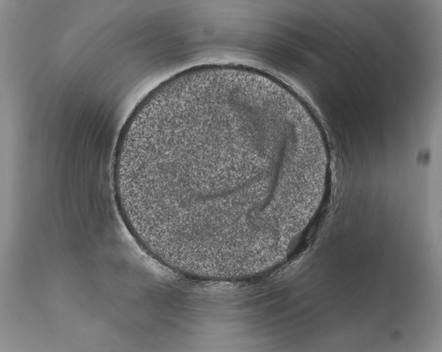 X0000112060943200909151022