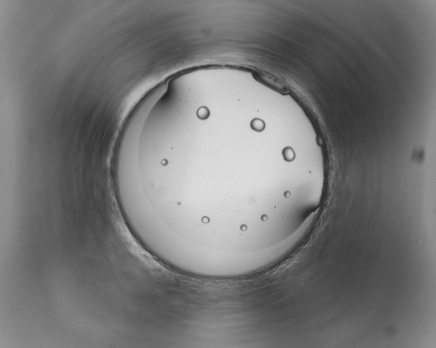 X0000112060944200909151022