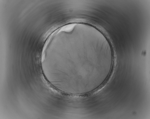 X0000112060945200909151022