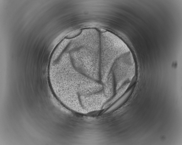 X0000112060946200909151022