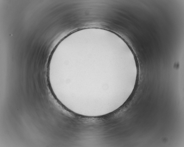 X0000112060949200909151022