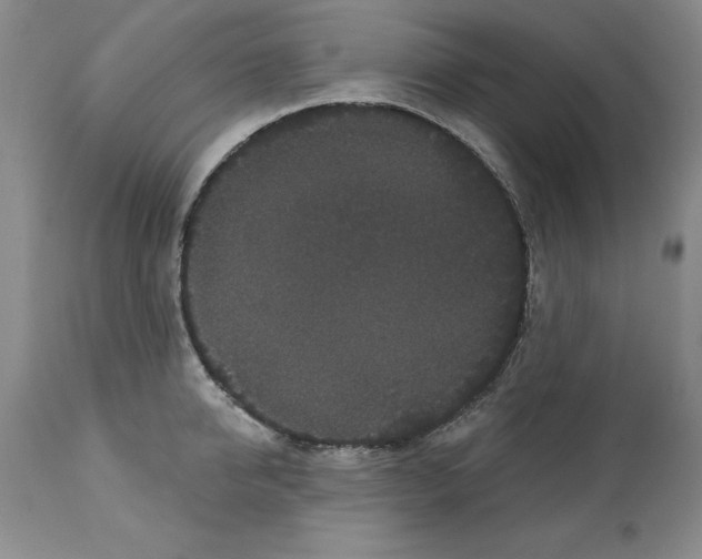 X0000112060950200909151022