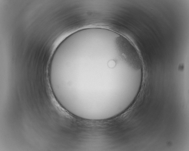 X0000112060952200909151022