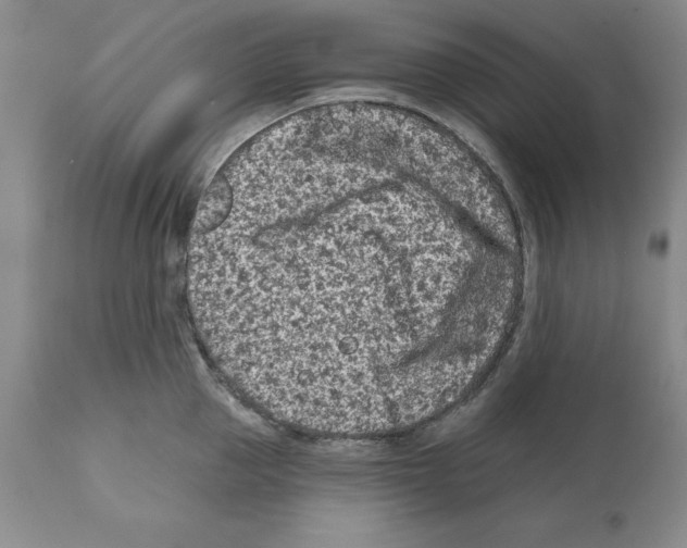 X0000112060953200909151022