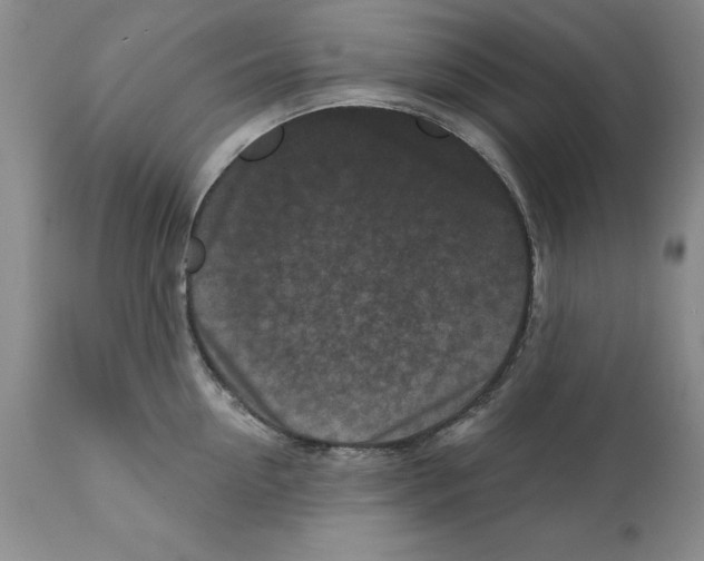 X0000112060954200909151022
