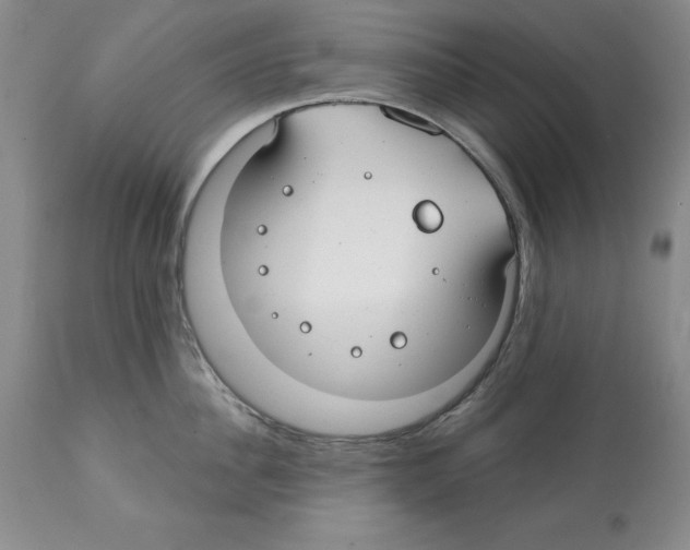 X0000112060956200909151023
