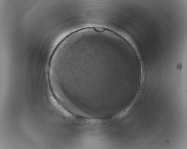 X0000112060958200909151023