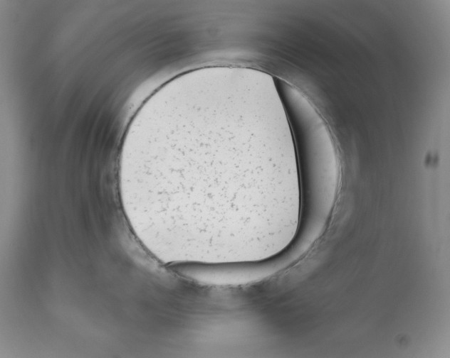 X0000112060960200909151023