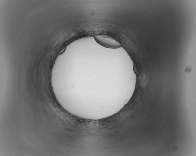 X0000112060961200909151022