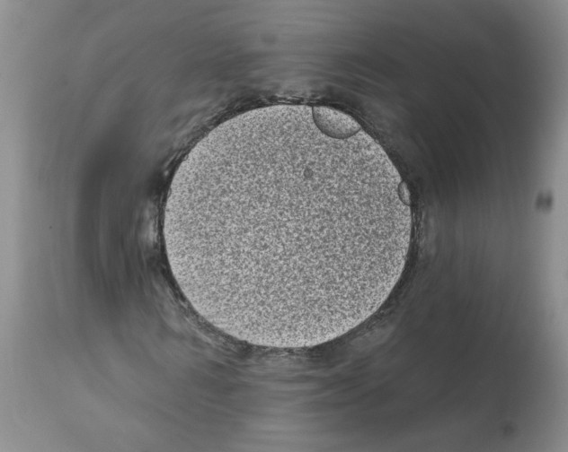 X0000112060962200909151022