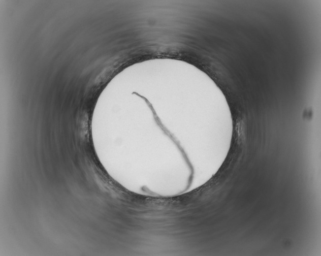 X0000112060963200909151022