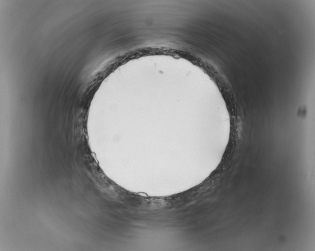 X0000112060968200909151022