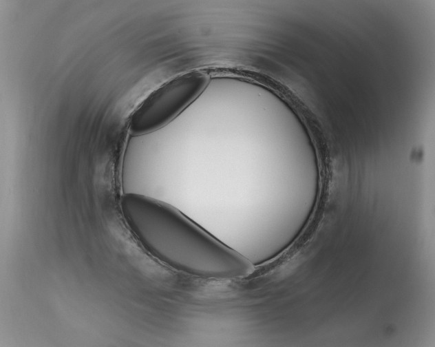 X0000112060969200909151022