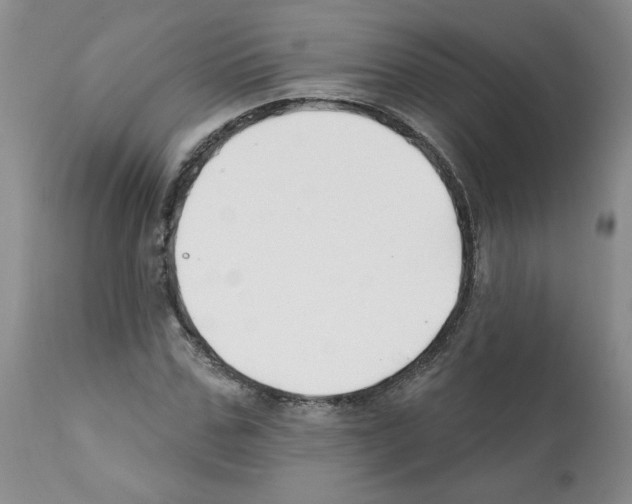 X0000112060971200909151022