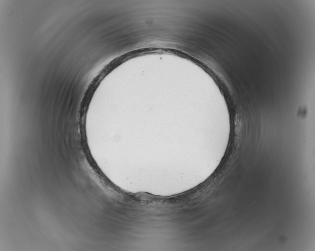 X0000112060972200909151022