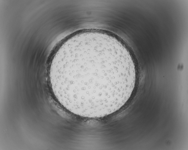 X0000112060974200909151022