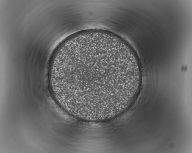 X0000112060975200909151022