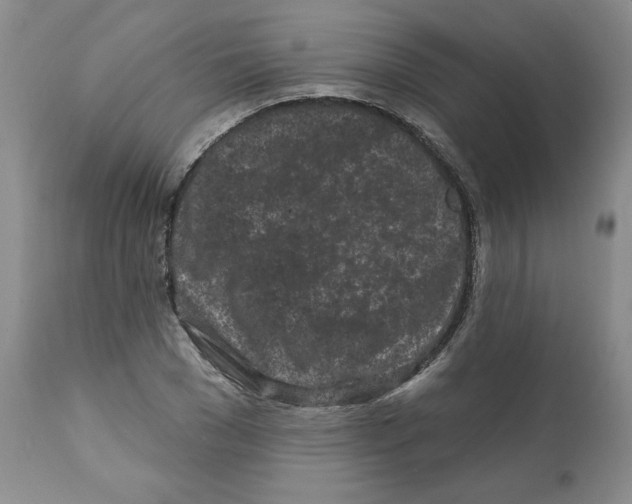 X0000112060977200909151022