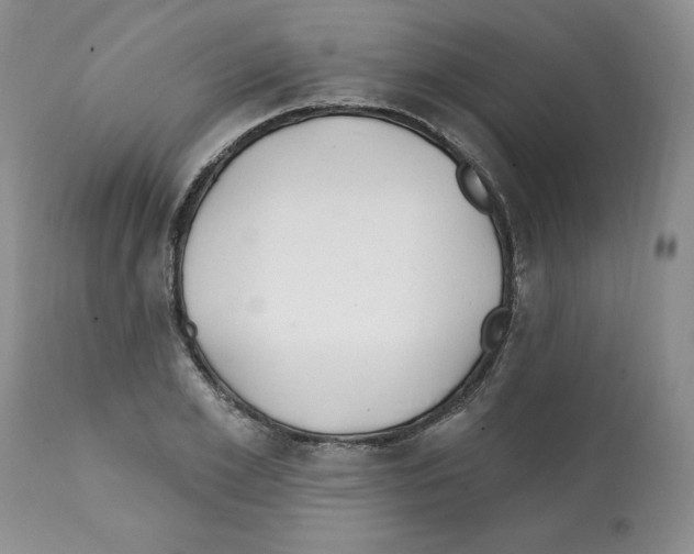X0000112060981200909151022