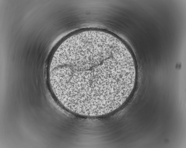 X0000112060983200909151022