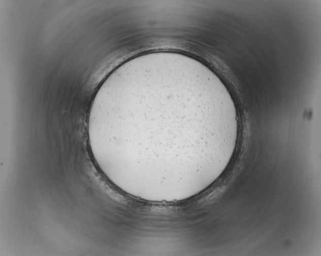 X0000112060985200909151022