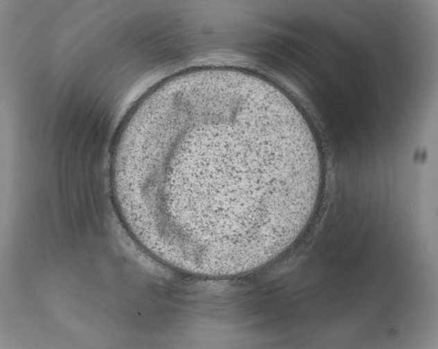 X0000112060990200909151022