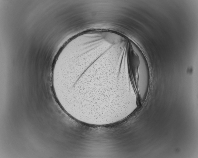 X0000112060992200909151021