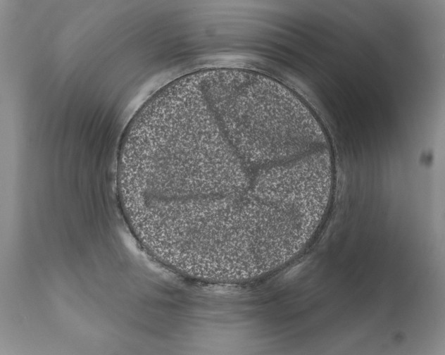 X0000112060994200909151021