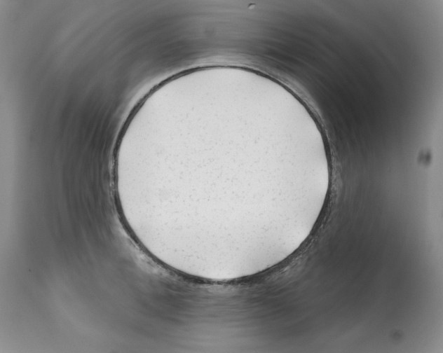 X0000112060996200909151021