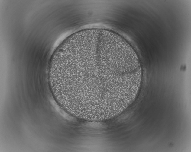 X0000112060998200909151021