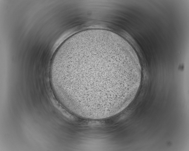 X0000112061002200909151021