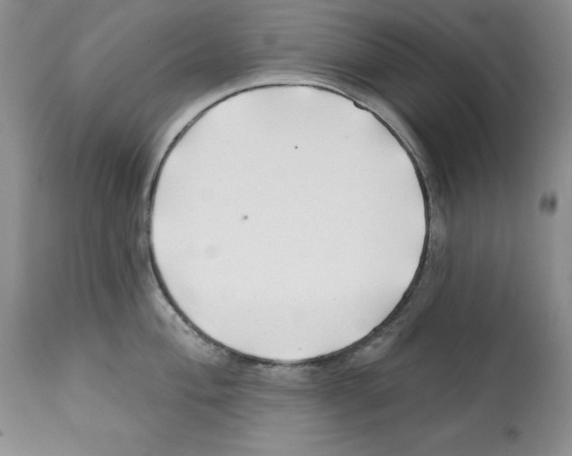 X0000112061004200909151021