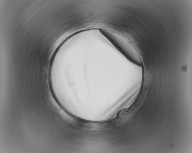X0000112061005200909151021