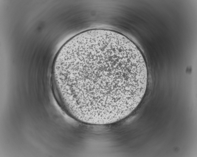 X0000112061007200909151021