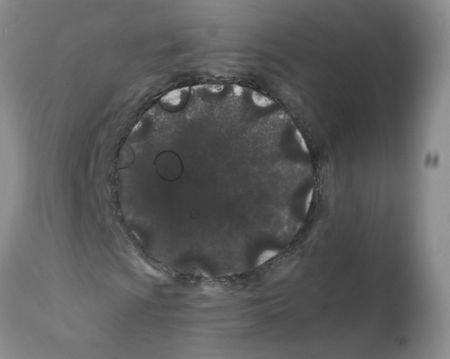 X0000112061009200909151021
