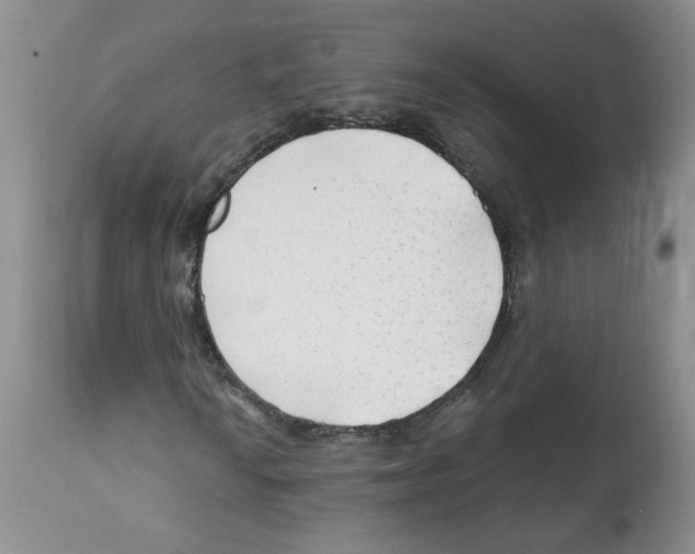 X0000112061010200909151021