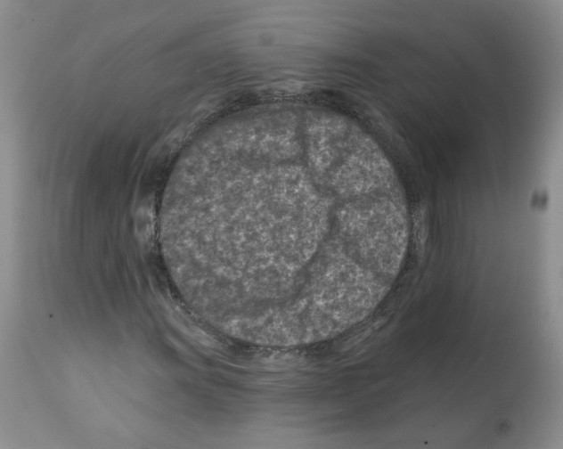 X0000112061011200909151021