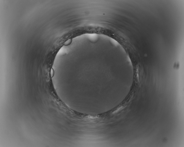 X0000112061013200909151021