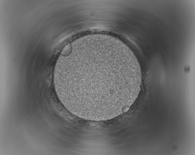 X0000112061015200909151021