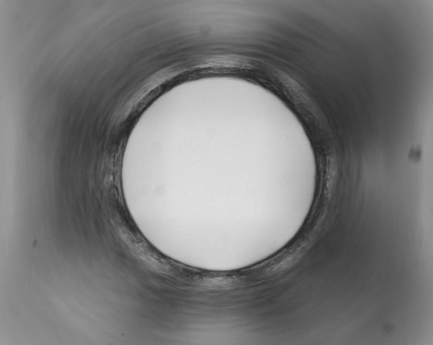 X0000112061017200909151021