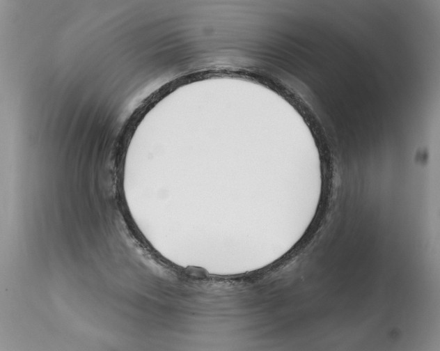X0000112061018200909151021