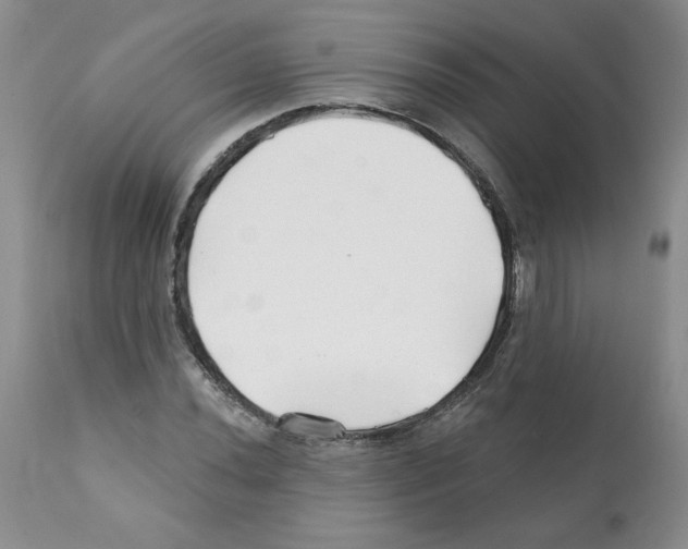 X0000112061020200909151021
