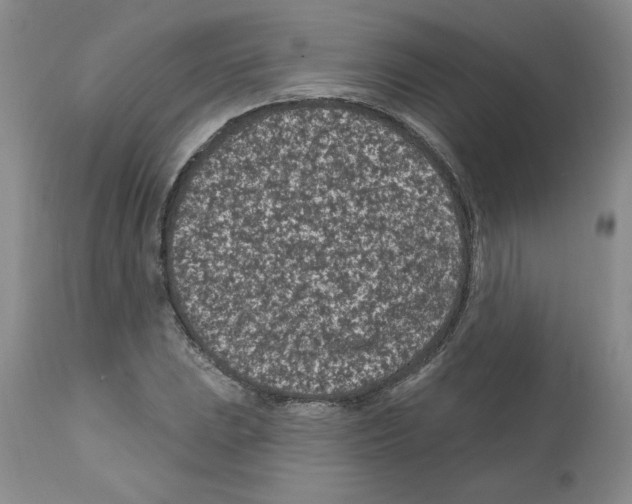 X0000112061023200909151021