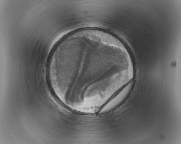 X0000112061024200909151021