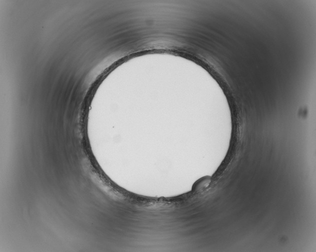 X0000112061026200909151021