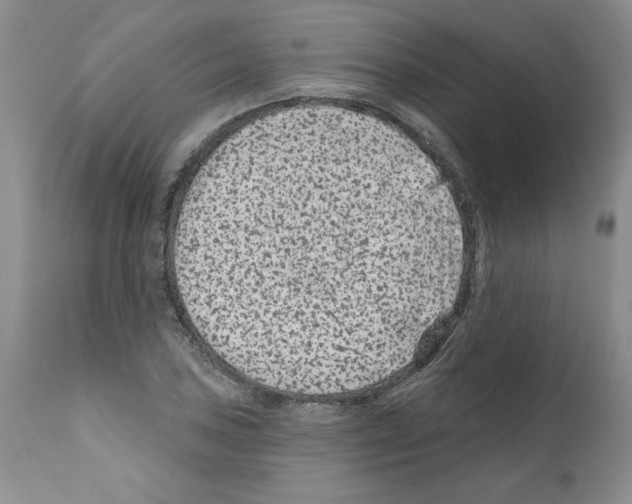 X0000112061027200909151021