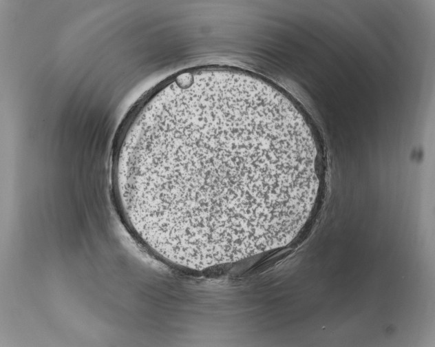 X0000112061028200909151021