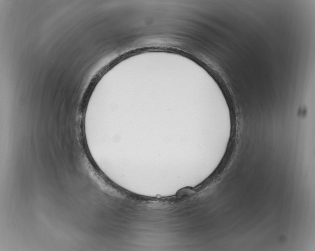 X0000112061029200909151021