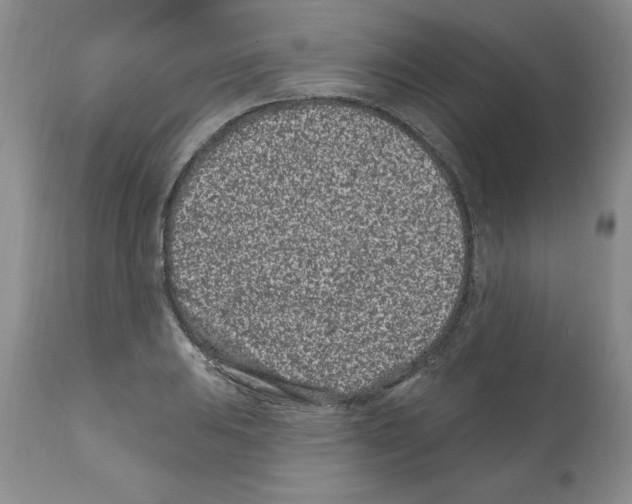 X0000112061031200909151021